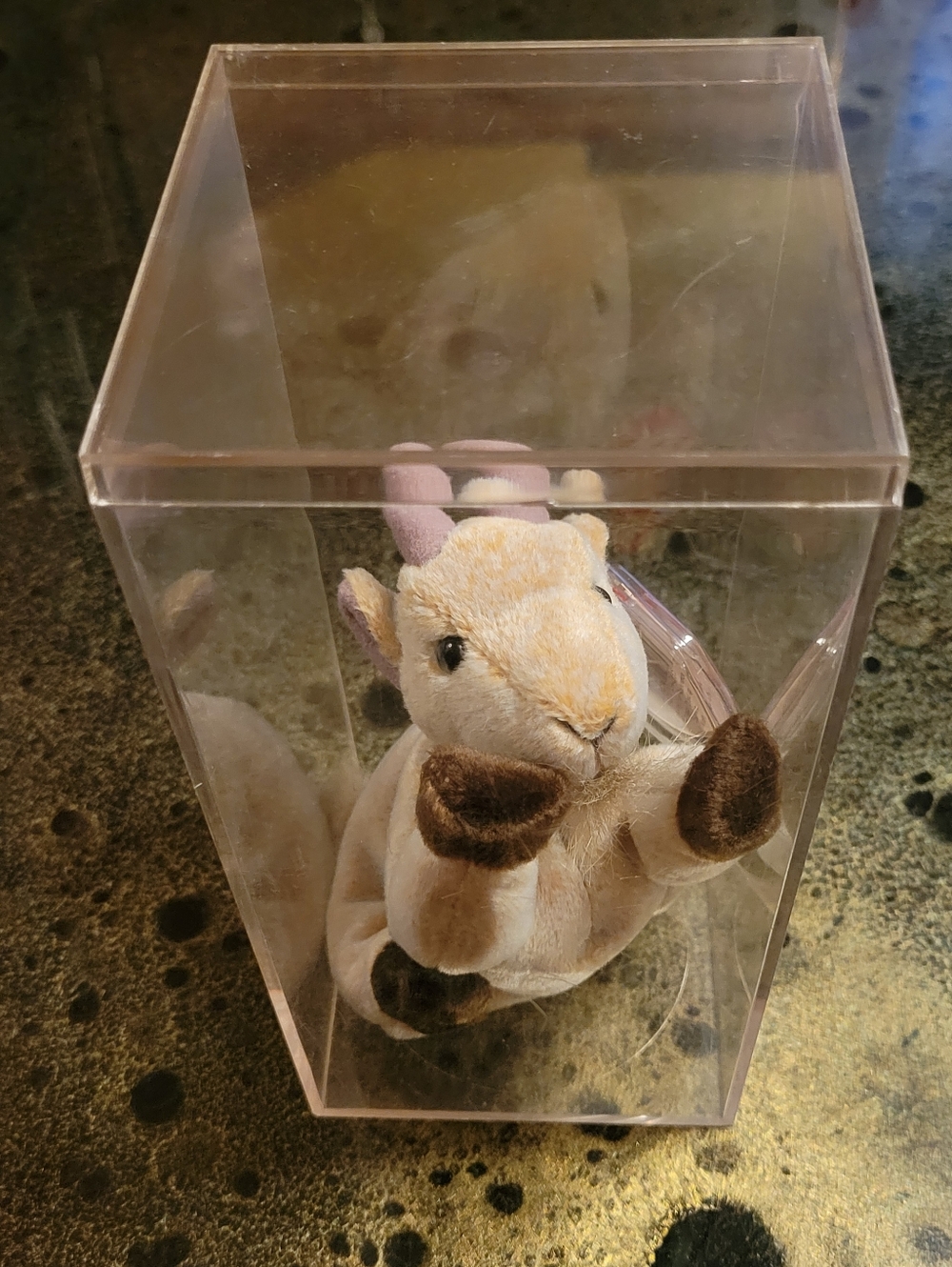 Ty Beanie Babies Goatee With Tag Protector & Display Case